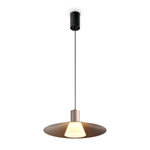 Подвесной светодиодный светильник Freya Fari FR5600PL-L5MG1