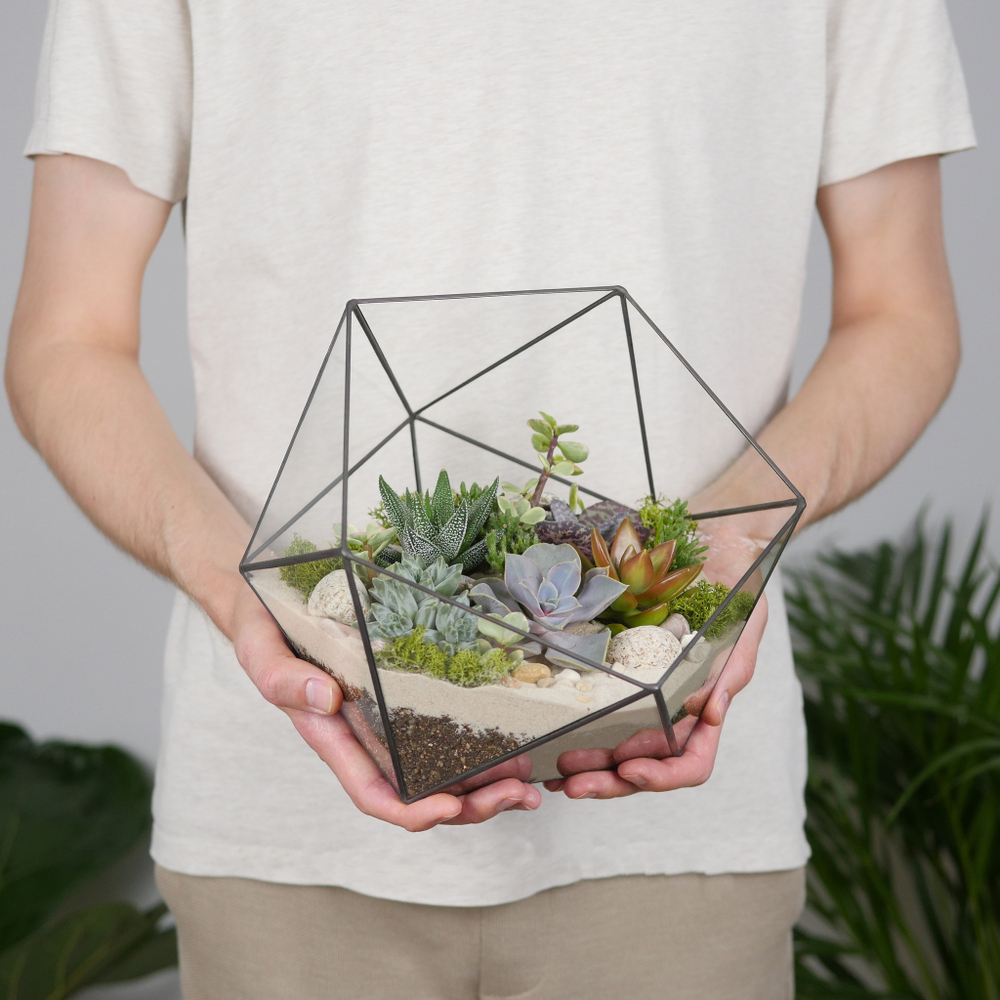 Готовый флорариум с суккулентами Laaroom Икос