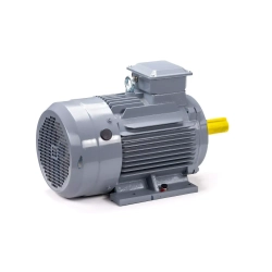 Электродвигатель ESQ PR 132 M2 GST-Б1-S12-IE2 11/3000 IM1081