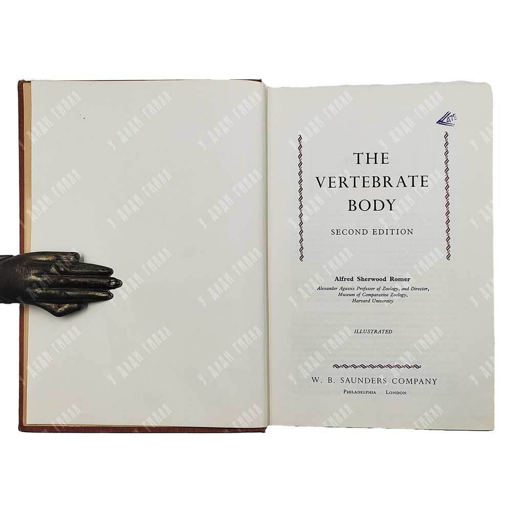 Romer A.S. The vertebrate body / Ромер А.Ш. Тело позвоночных животных. 1960.