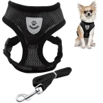 Шлейка с поводком 118см «Sweet puppy» размер S, цвет черный✦