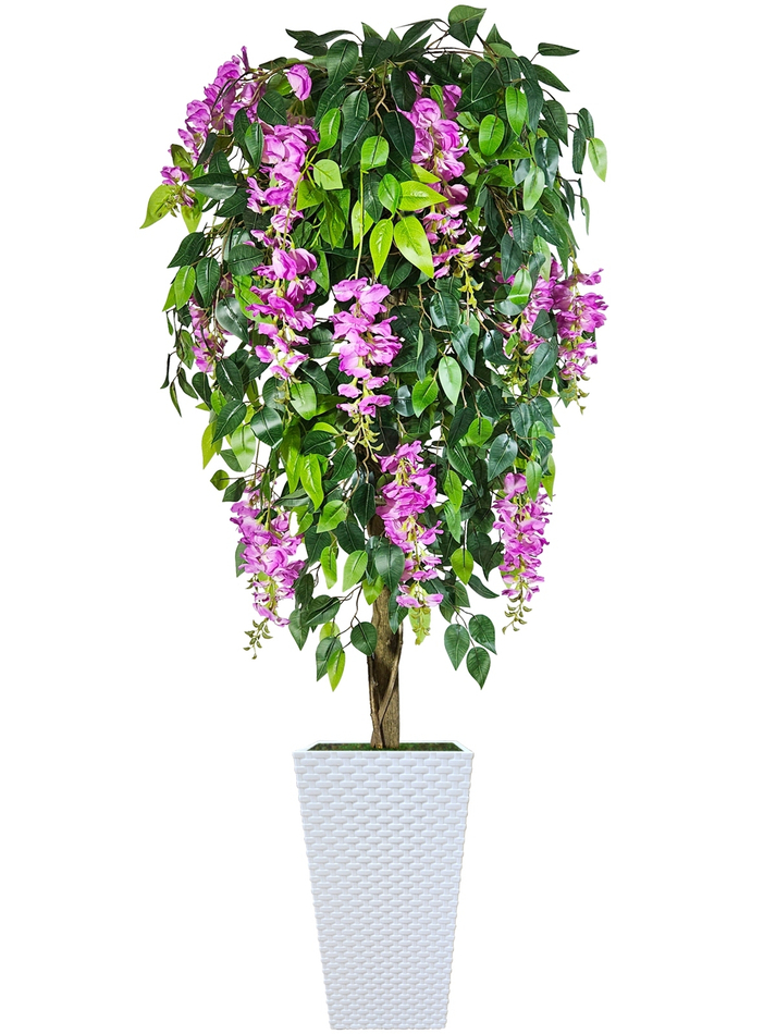 Искусственное дерево Глициния лиловая 150см в белом кашпо ротанг