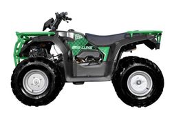 Квадроцикл взрослый Sharmax Luxe 250 (P)