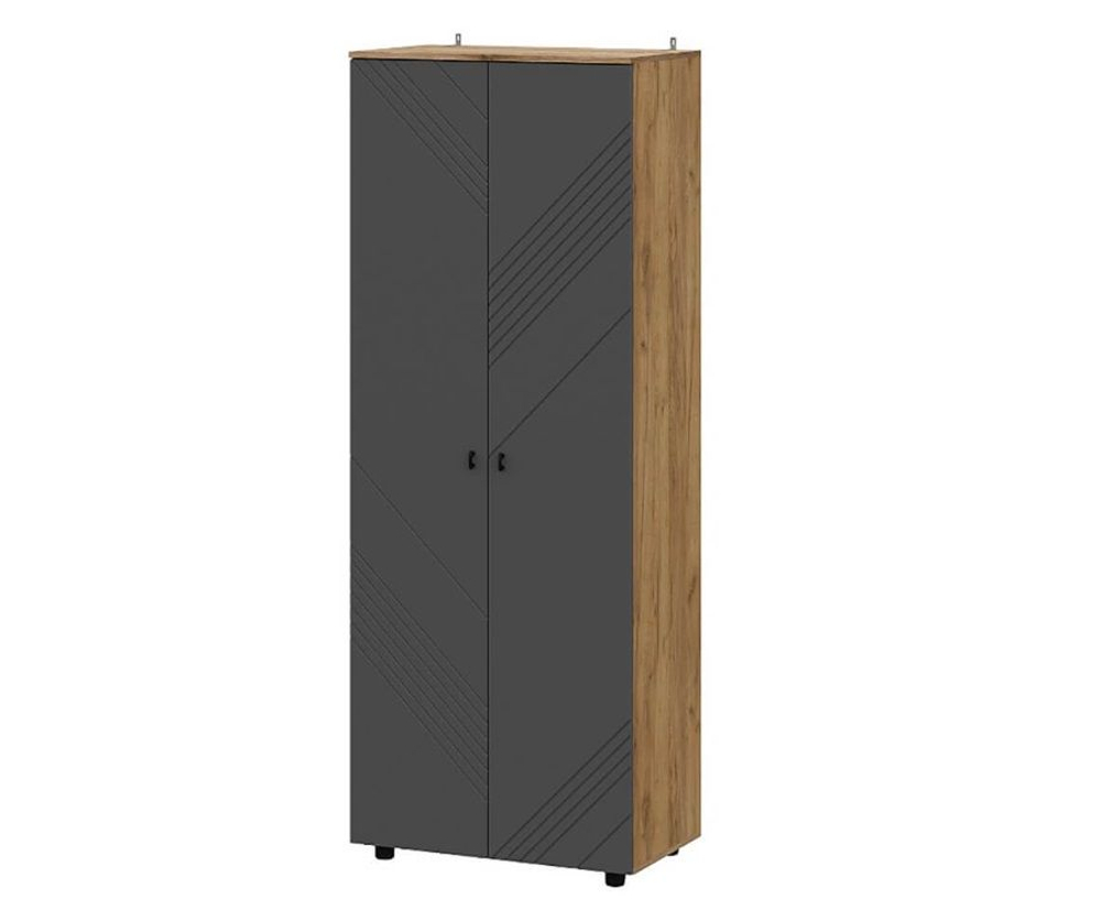 БАЙКАЛ Шкаф двухстворчатый (комбинированный) Графит/Дуб золотой