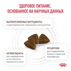 Royal canin vd gastrointestinal киттен 0,4 кг