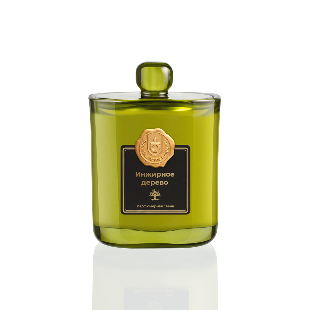 Аромасвеча AROMATICA Инжирное дерево, в подарочной коробке