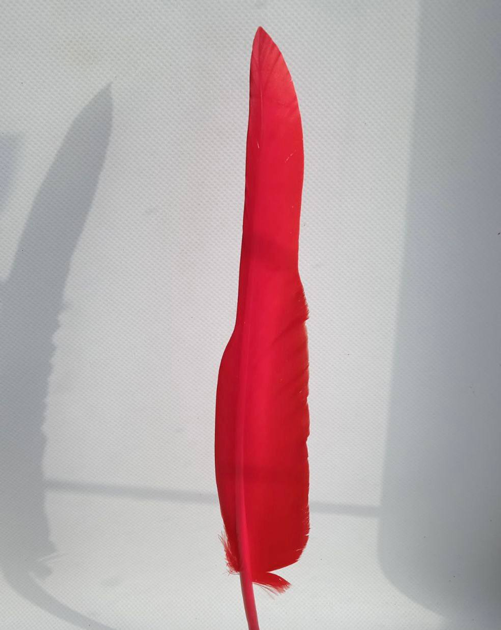 Перо для письма красное