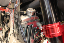 Кроссовый мотоцикл FXmoto Raptor (NC300) 21/18