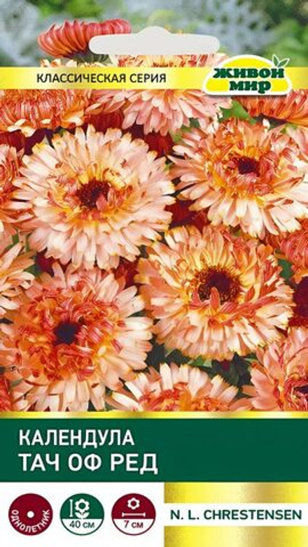 Kaлeндyлa "ЖМ. Taч oф peд" 2г., Германия.