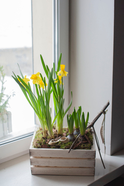 Весенняя композиция №16