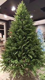 Искусственная ель «Берген» (Литая хвоя) 150 см / 1.5 м