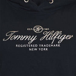 Женская Кофта теннисная Tommy Hilfiger Regular Hilfiger Script Hoodie - небесный