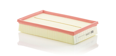 MANN-FILTER - C28043-MNF - Air Filter