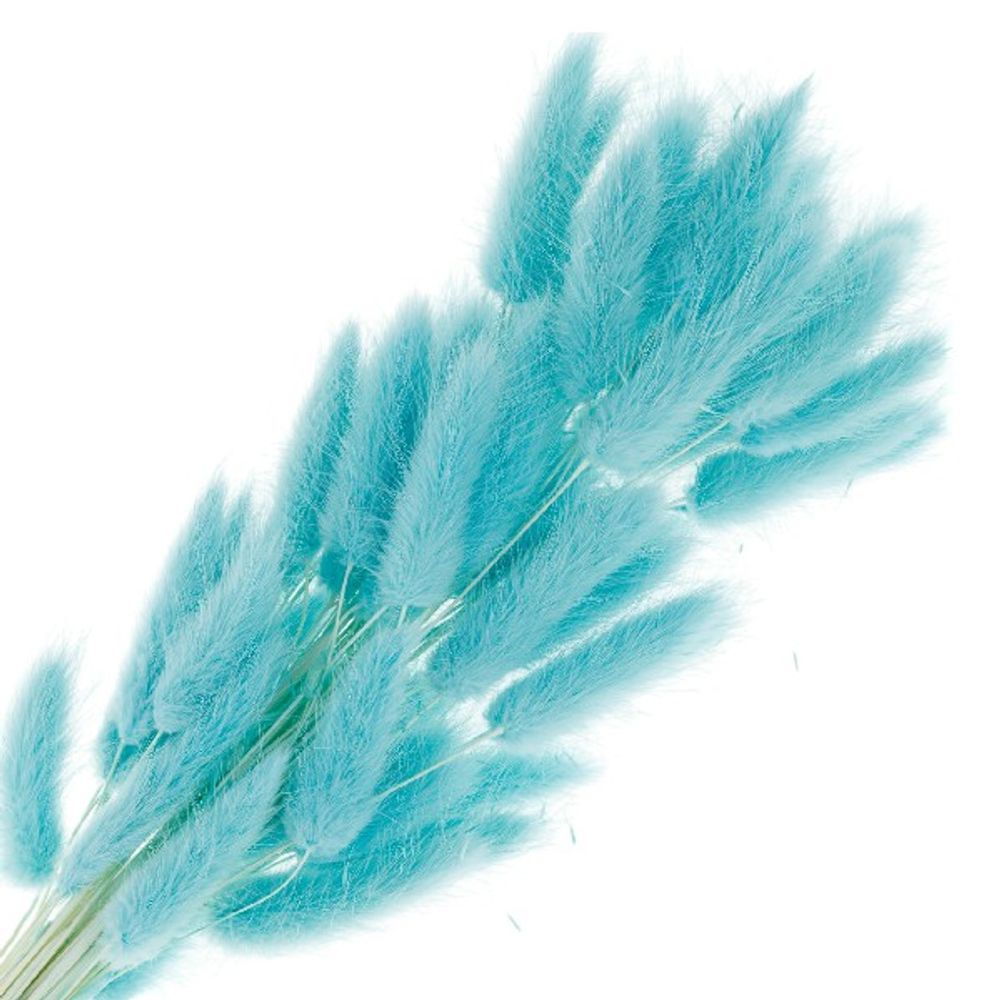 Сухоцветы ЛАГУРУС МЯТА