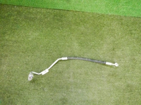 DSCN4398.jpg