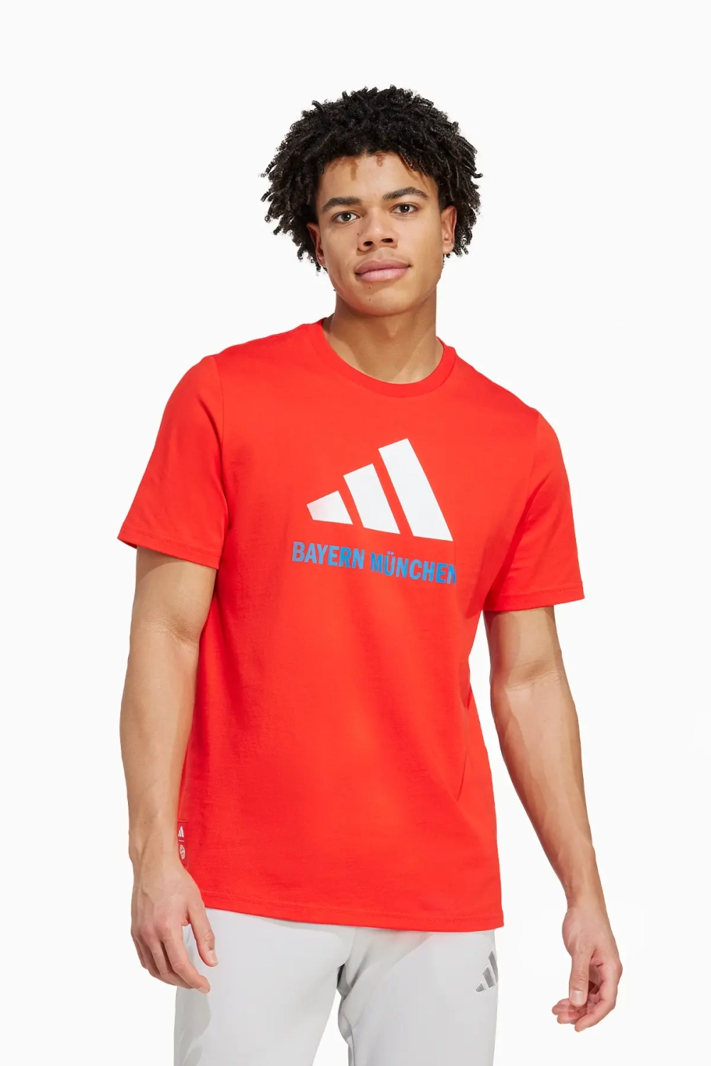 Футболка adidas FC Bayern 24/25 Seasonal Graphic Tee - красный
