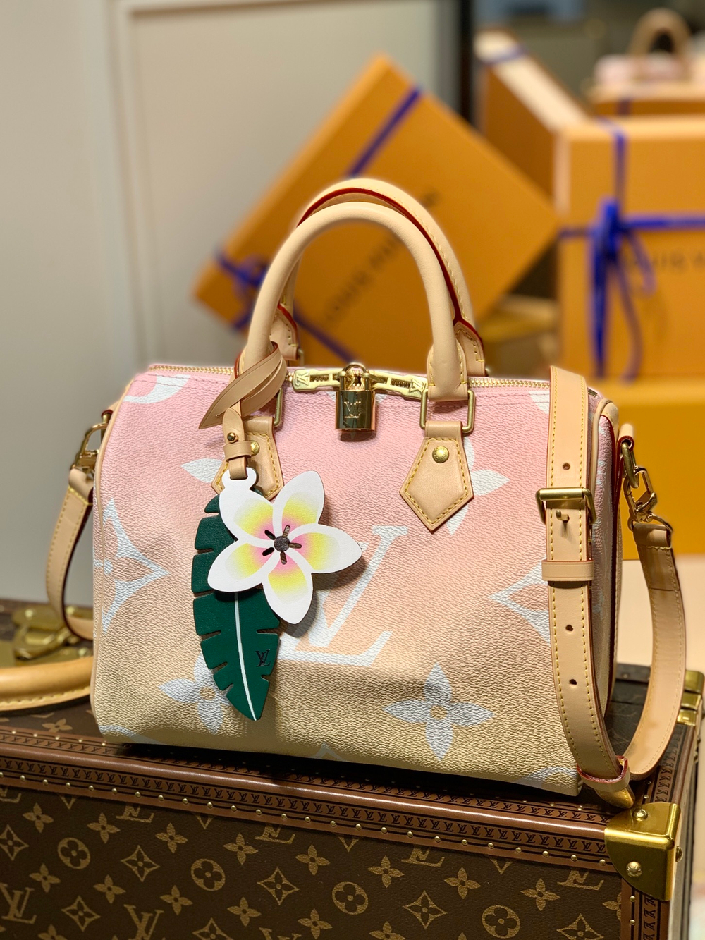 Louis Vuitton Speedy 25