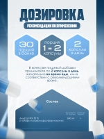 Альфа-ГФХ Alpha-GPC 600 мг 60 капсул