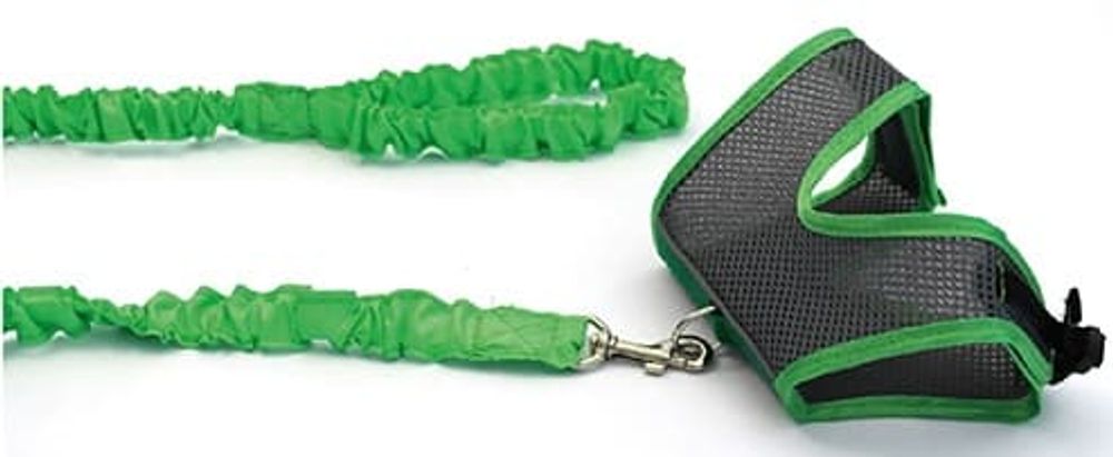 Комплект №4 шлейка (сетка) шея 28см, грудь 34см + поводок 20мм длина до 150см