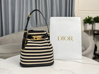 Christian Dior Medium C'est Dior Bag