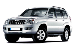 Упор (амортизатор) капота для Toyota Land Cruiser Prado 120 Autoinnovation.15-04