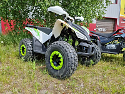 КВАДРОЦИКЛ PROMAX SPORT - PRO 180 (2025)