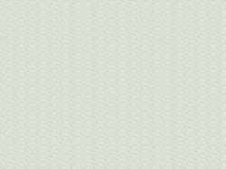 Коллекция FAIRY FOXES