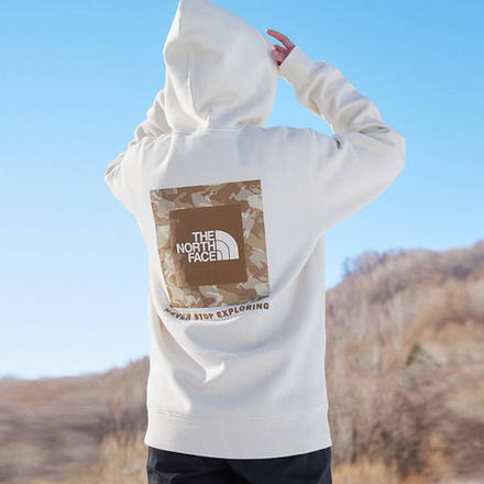 Худи THE NORTH FACE Logo, NF0A81QF-N3N