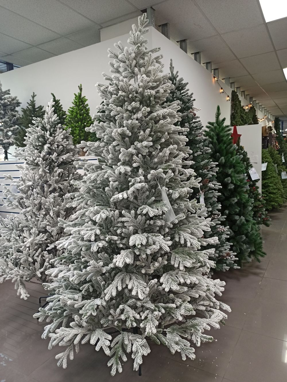 ели заснеженная "Александрийская" литая хвоя