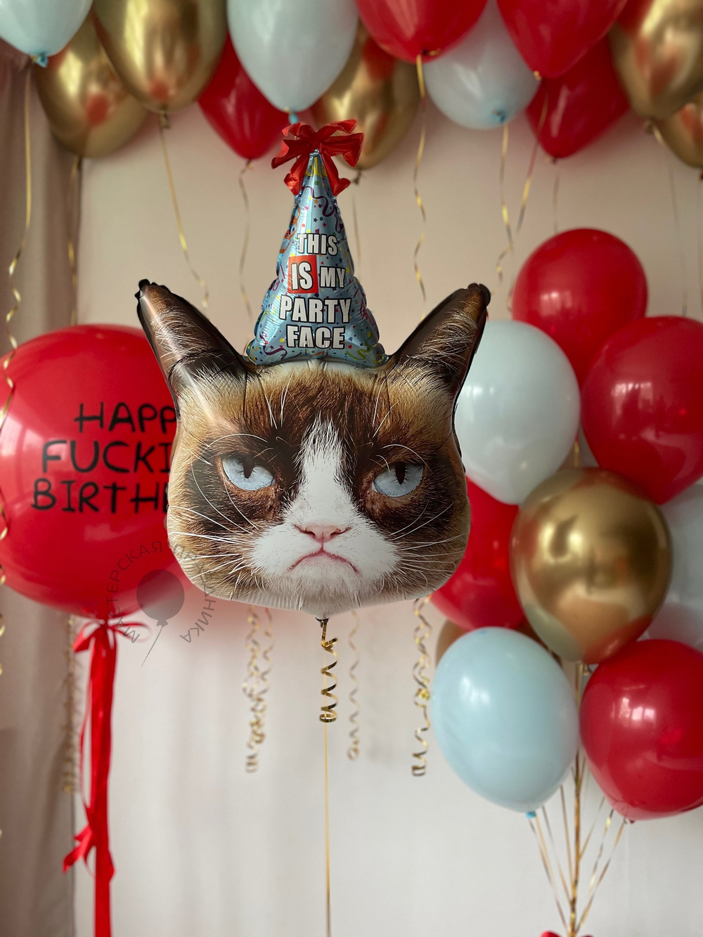 Воздушные шары Унылый кот для него №8508