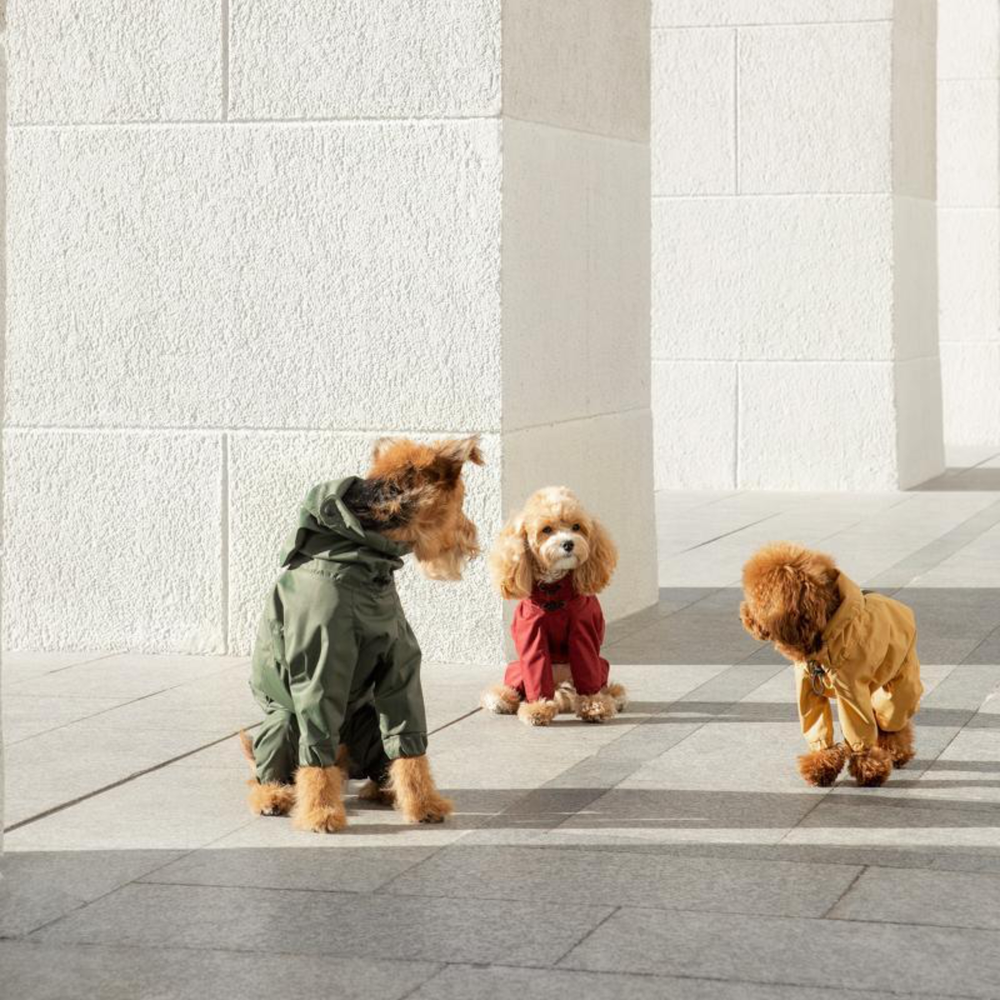 Комбинезон "Пони-комбинезони" без утеплителя Hunting Pony