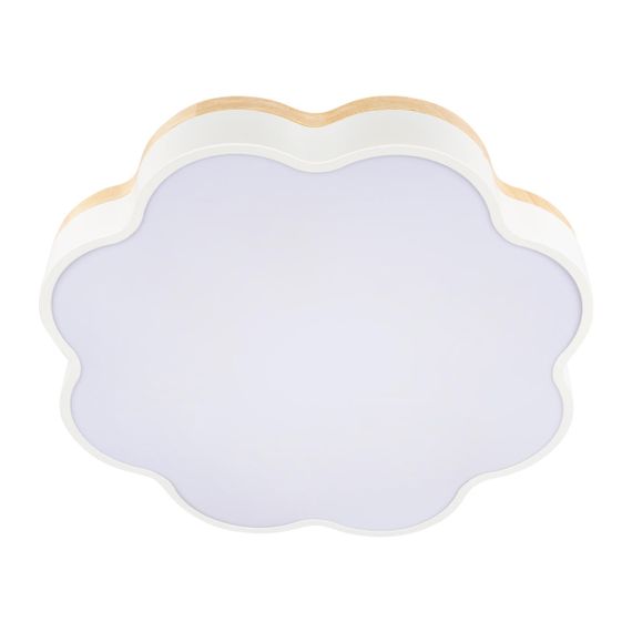 Потолочный светодиодный светильник Loft IT Axel 10225/36 White