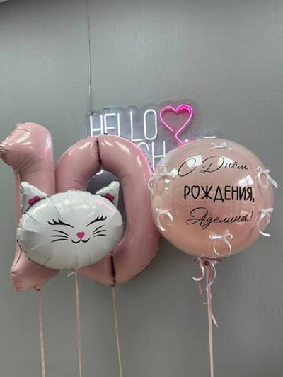 Набор шаров Милый котик и пудровые шары