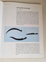 Musees D'Algerie II-L'art algerien populaire et contemporain. Tome 6