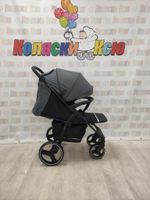 Коляска прогулочная Rant Basic Alpine Graphite 2025