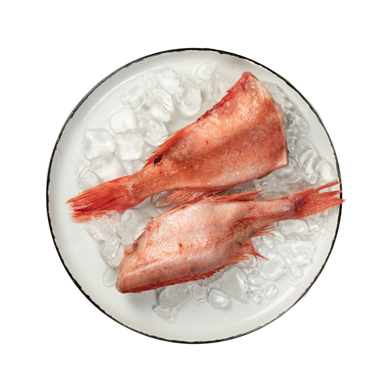 Окунь морской (клювач) 150/300, с/м