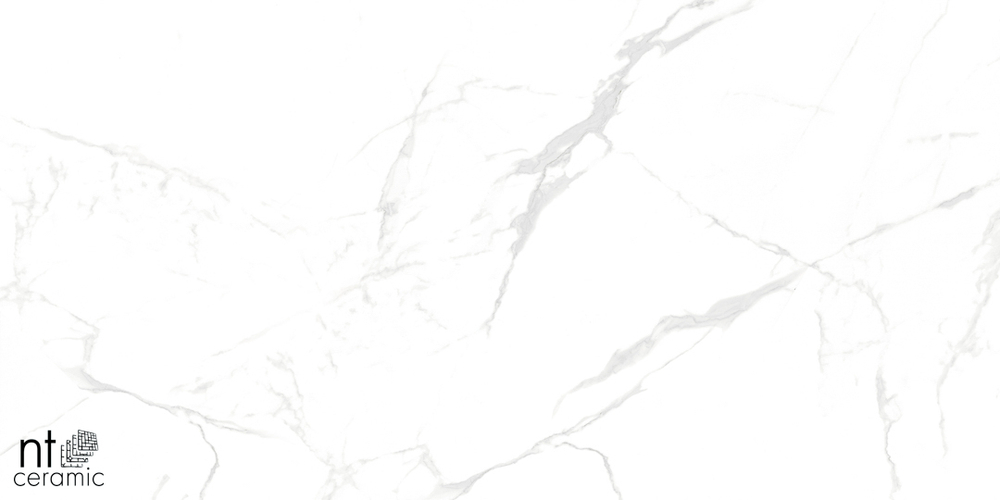 Керамогранит Callacata carving NTT99607M 600*1200мм матовая