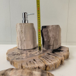 Набор из окаменелого дерева 4 предм Fossil Set NF-63284 поднос 149