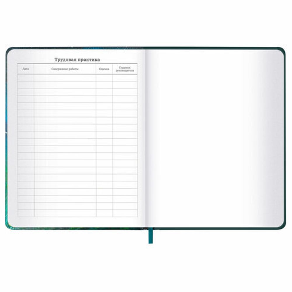 Дневник 1-11 класс 48 л., кожзам (твердая с поролоном), печать, резинка, конверт, BRAUBERG, "Мечты", 106949