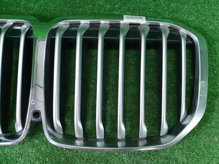 Решетка радиатора BMW X7 G07 (2019-2022)