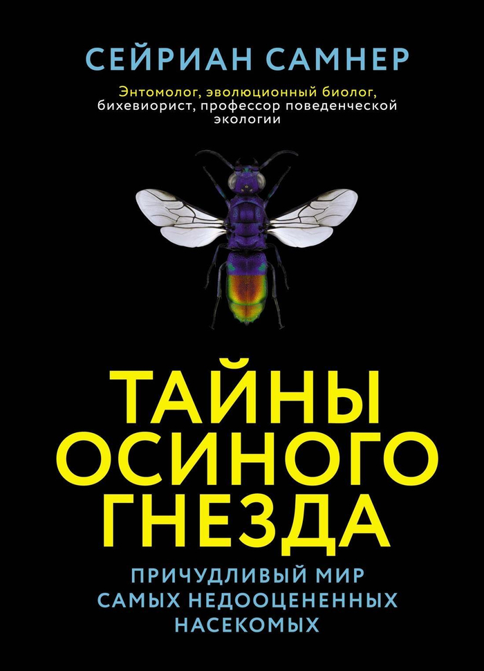 Тайны осиного гнезда. Причудливый мир самых недооцененных насекомых