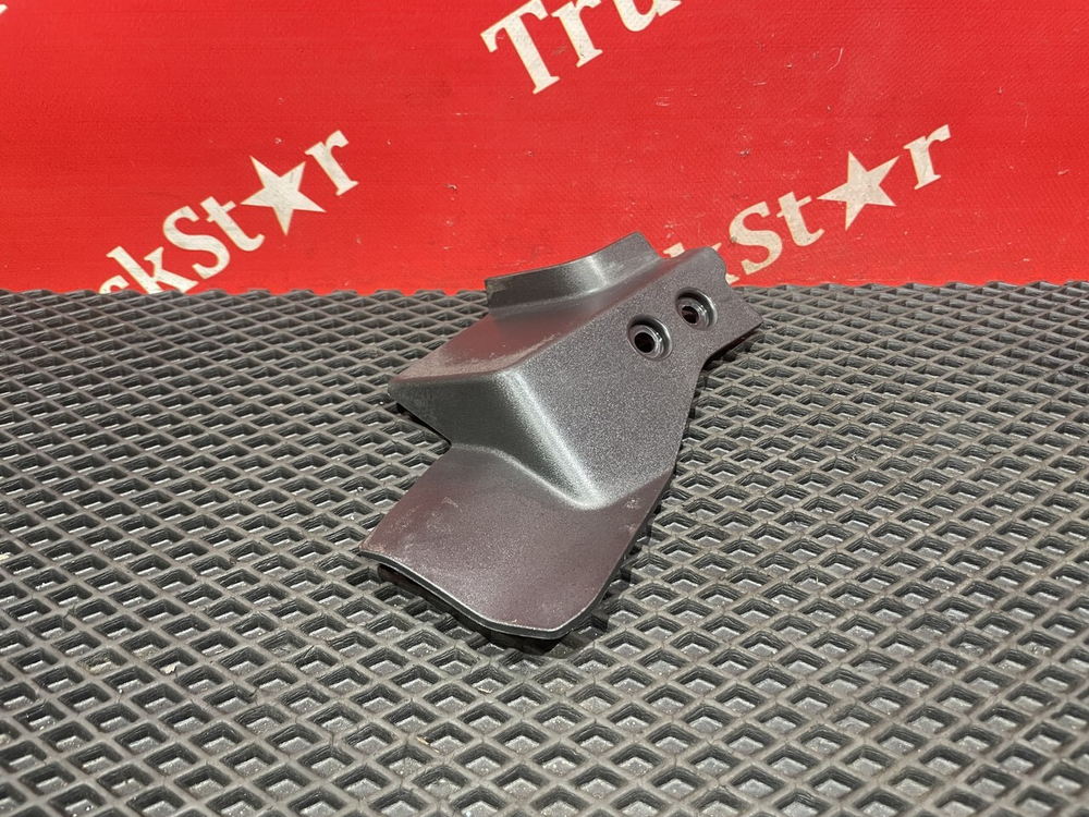 Накладка подножки правой 2019г.