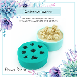 Молд Снежноягодник