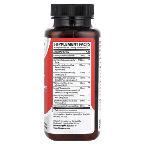 LifeSeasons, B / P Stabili-T®, поддержка артериального давления, 120 растительных капсул