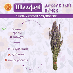 Шалфей дубравный пучок.