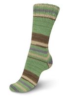 Пряжа носочная (150 гр.) Schachenmayr Regia 6 ниток, 75% шерсть, 25% полиамид