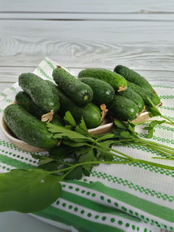 Огурцы Кураж 500 - 600 гр.