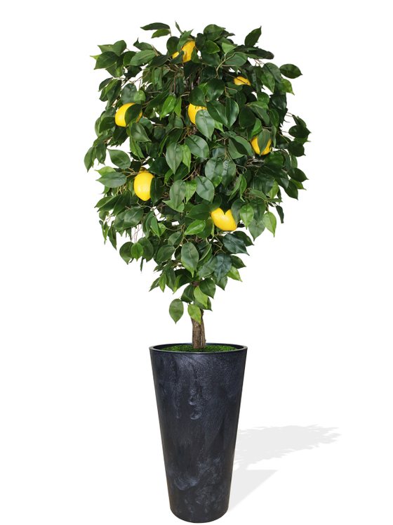 Искусственный Лимон 180см в высоком черном кашпо