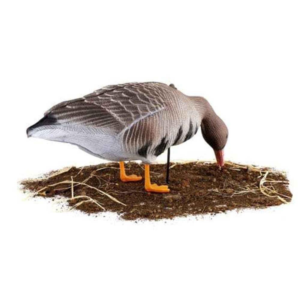 Комплект чучел Белолобый (10шт) S-XPE B622-3D "North Way"