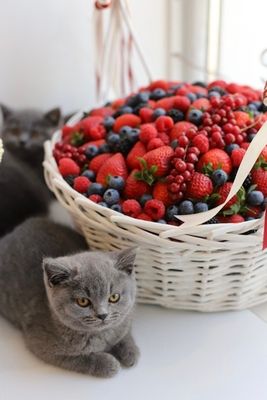Корзина с миксом ягод "Сочное ассорти"